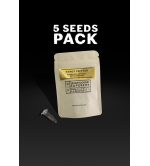 ▷ Comprar Tangy Fritter Semillas Exclusivas ☘️【Seedstockers Oficial】