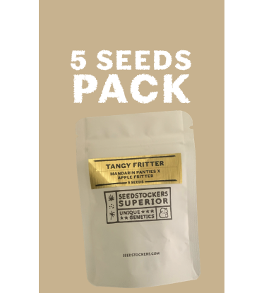 ▷ Comprar Tangy Fritter Semillas Exclusivas ☘️【Seedstockers Oficial】