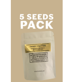 ▷ Comprar Tangy Fritter Semillas Exclusivas ☘️【Seedstockers Oficial】