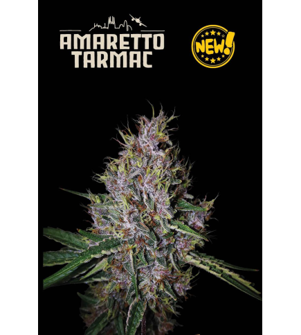 Amaretto Tarmac©...