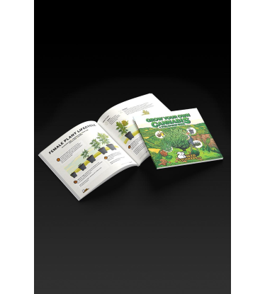 📘 Guía de Cultivo | Manual para Cultivar Cannabis | Compra en seedstockers.es 🐿️
