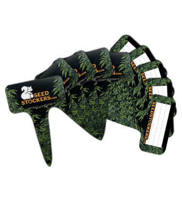 🏷️ Etiquetas para Macetas | Pack de 10 Unidades | Compra en seedstockers.es 🐿️
