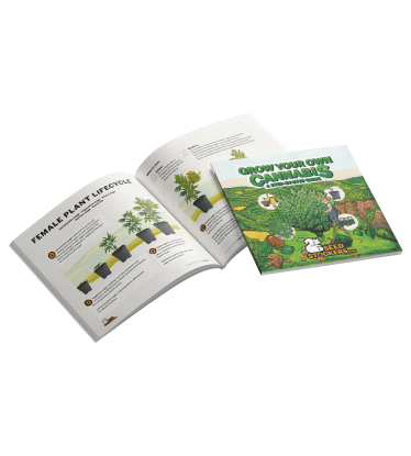 📘 Guía de Cultivo | Manual para Cultivar Cannabis | Compra en seedstockers.es 🐿️