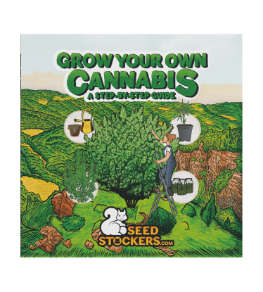 📘 Guía de Cultivo | Manual para Cultivar Cannabis | Compra en seedstockers.es 🐿️