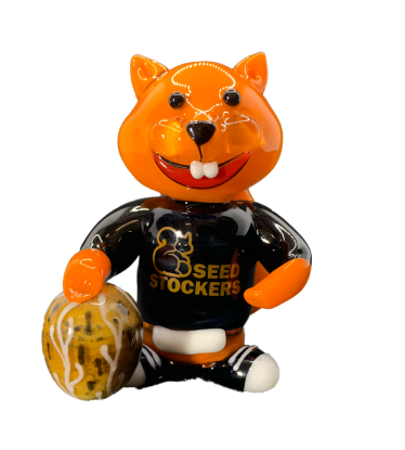 🐿️ Pipa Seca Doobie | Accesorio de Vidrio Seedstockers | Compra en seedstockers.es 🐿️
