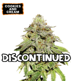 🪴 Cookies & Cream | Semillas de Cannabis Feminizadas | Compra en seedstockers.es 🐿️