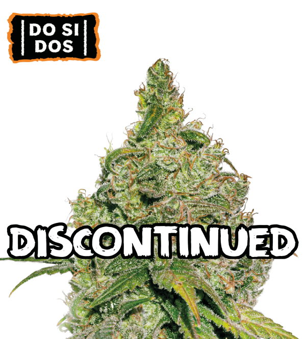 🪴 Do Si Dos | Semillas de Cannabis Feminizadas | Compra en seedstockers.es 🐿️