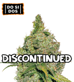 🪴 Do Si Dos | Semillas de Cannabis Feminizadas | Compra en seedstockers.es 🐿️