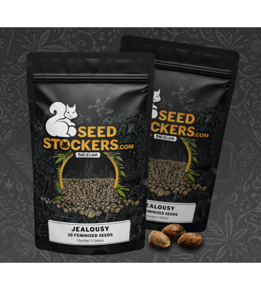 🪴 Jealousy Feminizada | Semillas de Cannabis Feminizadas | Compra en Seedstockers.es 🐿️