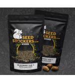 🪴 Blackberry Gum© | Semillas de marihuana autoflorecientes | Compra en Seedstockers.es 🐿️