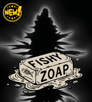 🪴 Fishy Zoap© Autofloreciente | Semillas de Marihuana | Seedstockers.es 🐿️