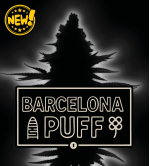 Barcelona Puff© Semillas de cannabis autoflorecientes