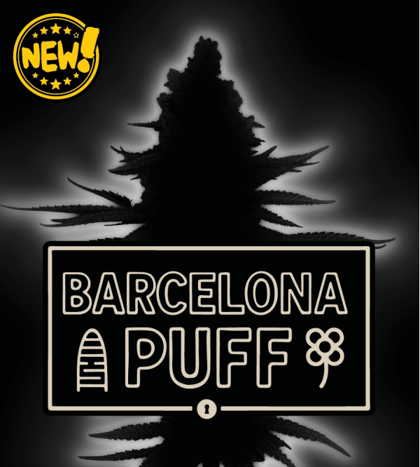 🪴 Barcelona Puff© | Semillas de Cannabis Feminizadas | Seedstockers.es 🐿️