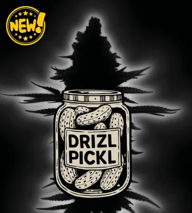 🪴 Drizl Pickl© Autoflower | Semillas Autoflorecientes de Cannabis | Seedstockers.es 🐿️