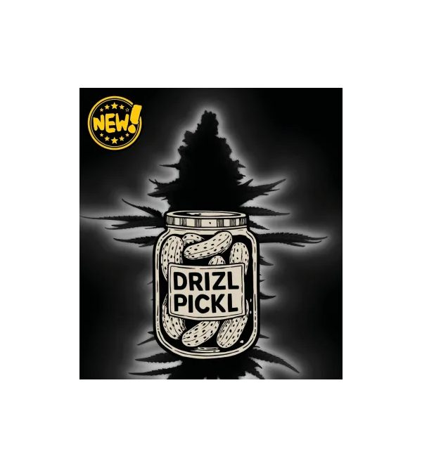 🪴 Drizl Pickl© Autoflower | Semillas Autoflorecientes de Cannabis | Seedstockers.es 🐿️
