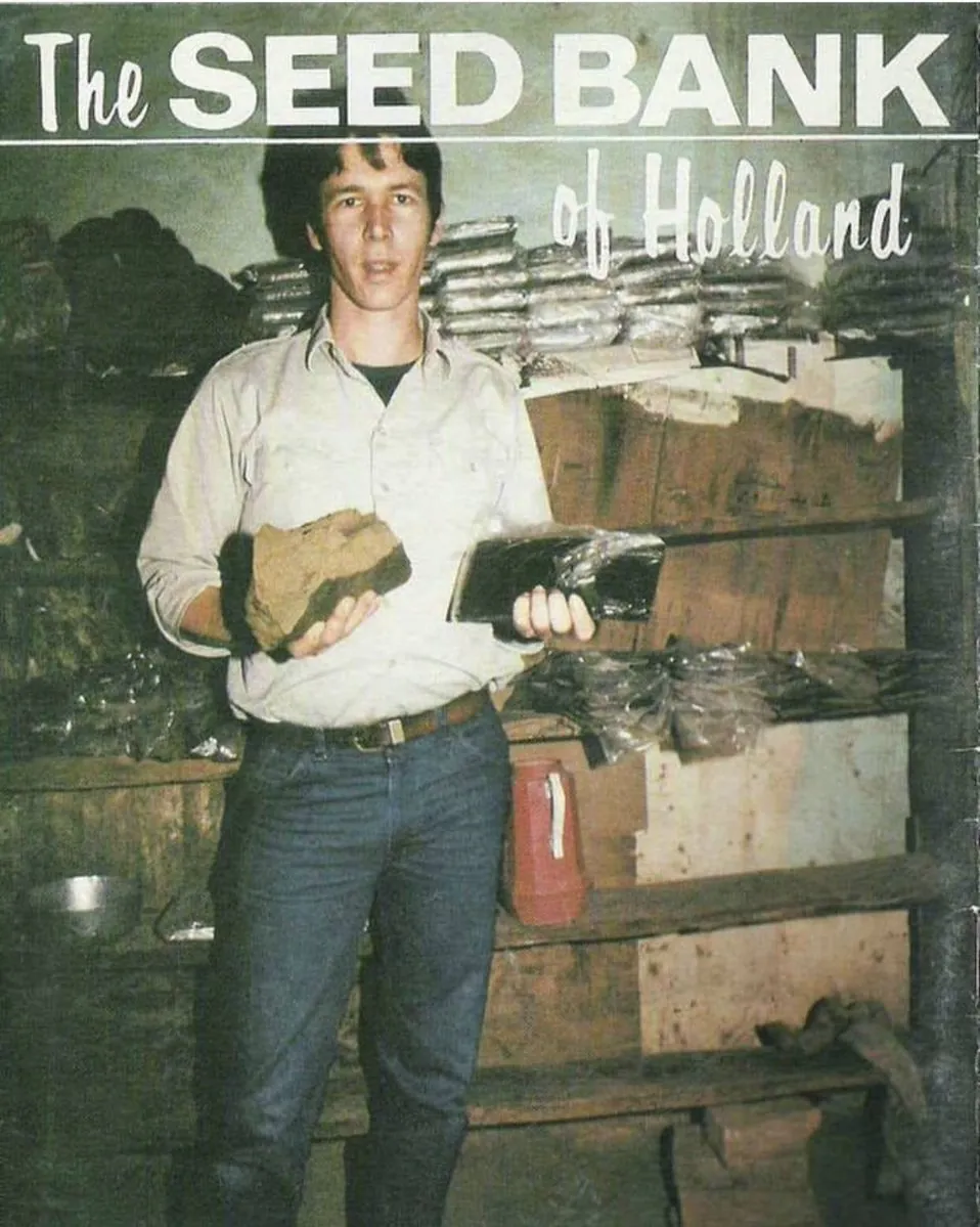  Portada de un catálogo vintage de semillas de cannabis con Nevil Schoenmakers 