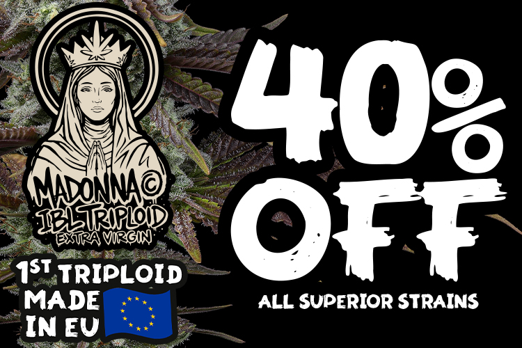 superior 40 off